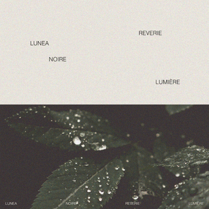 精品亚洲专区无码三区
