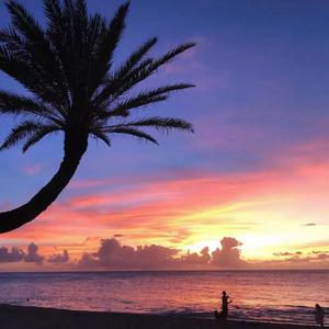 精品亚洲专区无码三区
