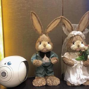 精品亚洲专区无码三区
